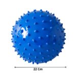 Pelota Erizo de Yoga 22 cm Masaje Equilibrio y Rehabilitación - Imagen 4