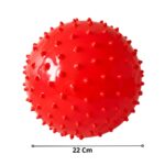 Pelota Erizo de Yoga 22 cm Masaje Equilibrio y Rehabilitación - Imagen 6